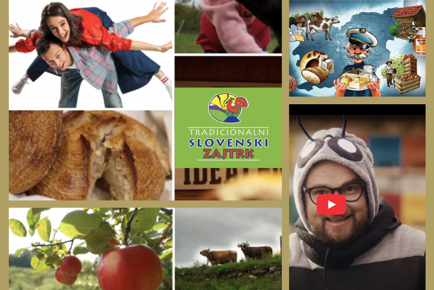 tsz izobrazevalne vsebine