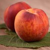nectarine