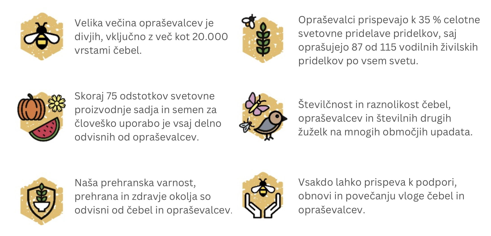 Na sliki so navadene različne zanimivosti o čebelah.