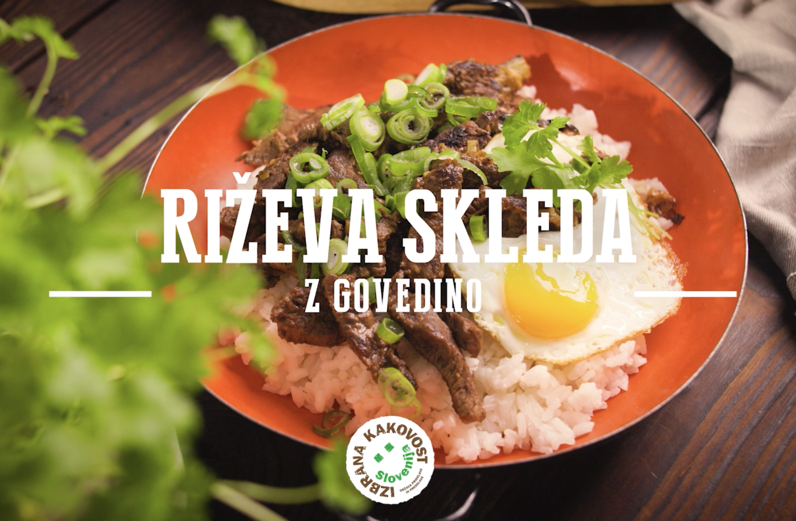 Na sliki je postrežena riževa skleda z govedino