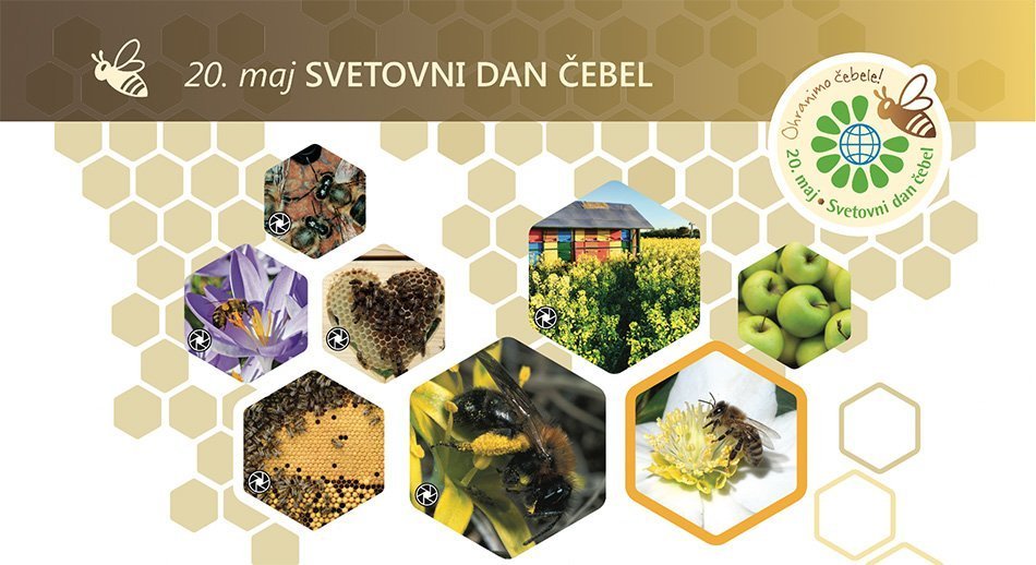 Svetovni dan čebel - grafika s čebelami