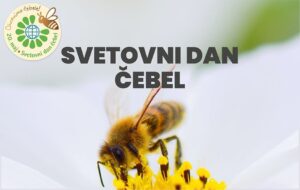 Svetovni dan čebel