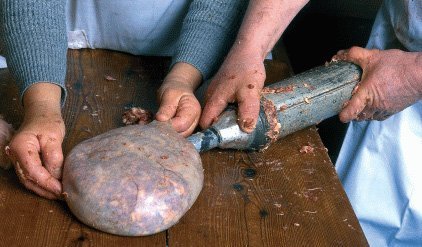 Zgornjesavinjski želodec polnjenje