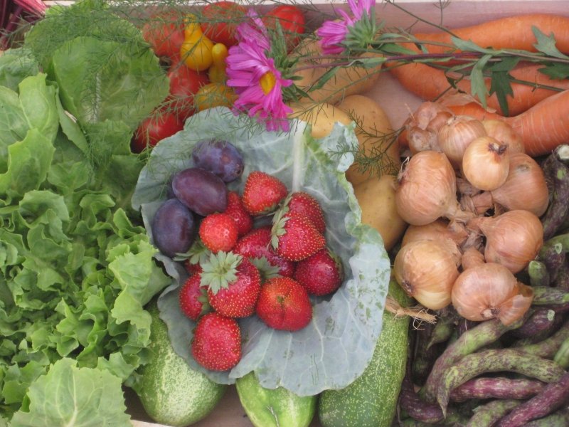 helena-golob-ekoloska-kmetija-zahojnik-0