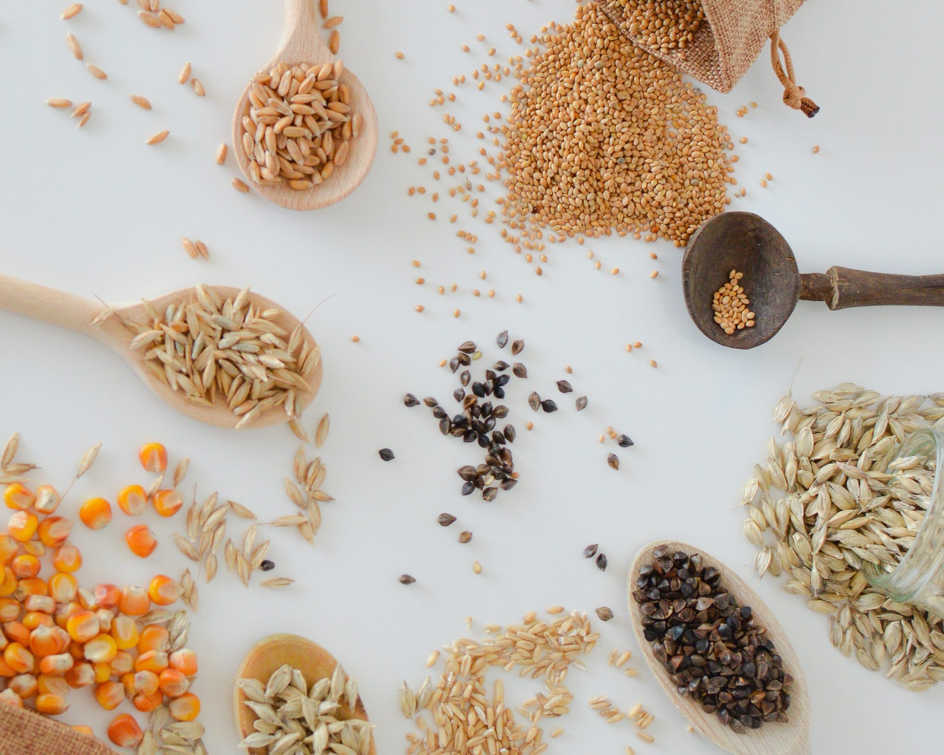 slavic-marko-vila-natura-9