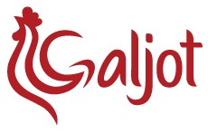 Galjot_LOGOTIP_ORIGINAL_RGB.jpg