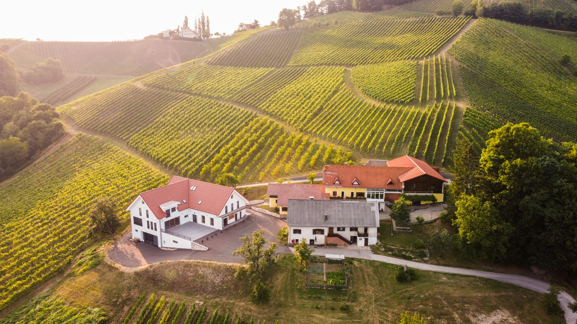 DJI_0977.jpg