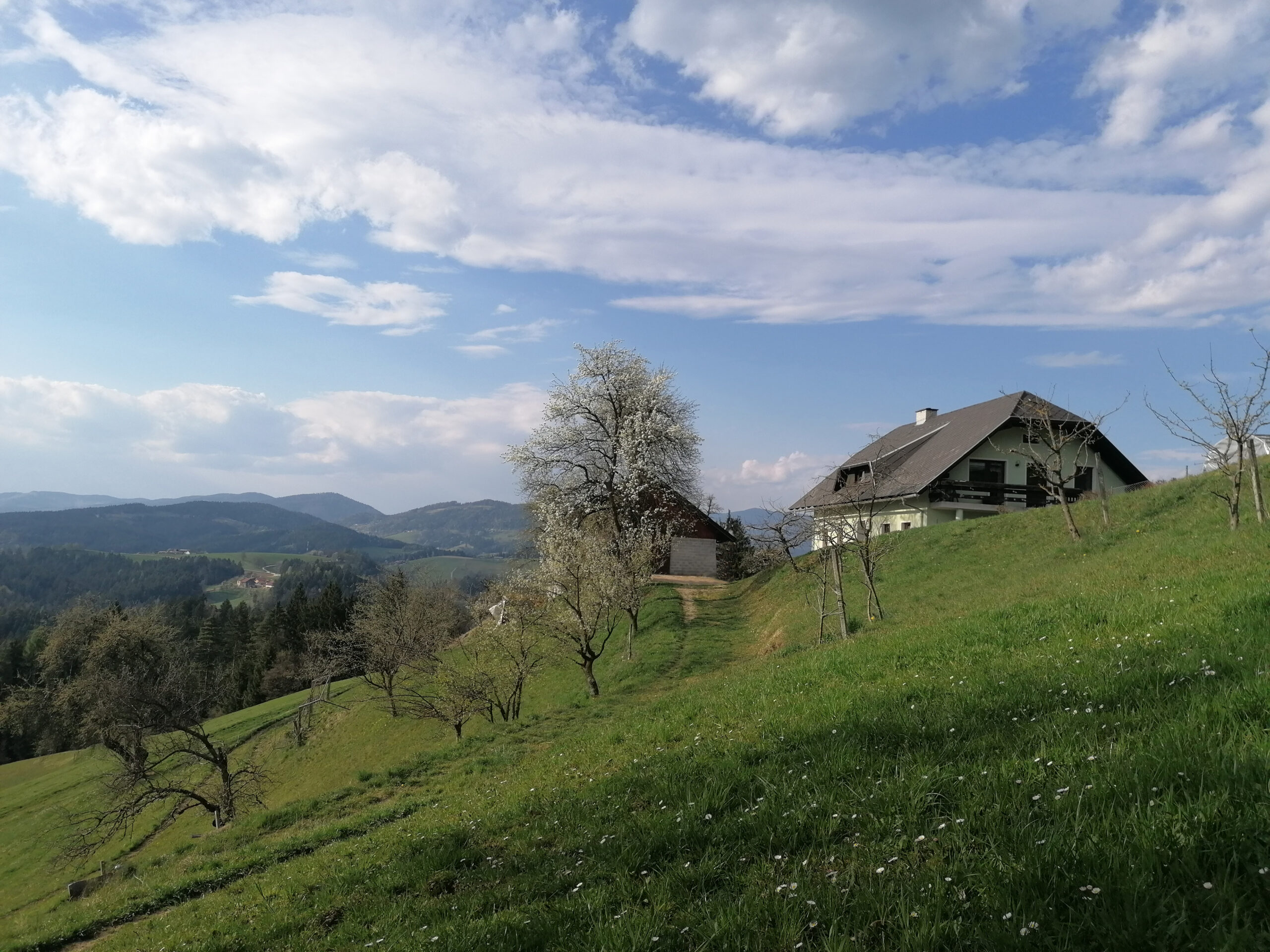 IMG_20200413_172230_brez.jpg