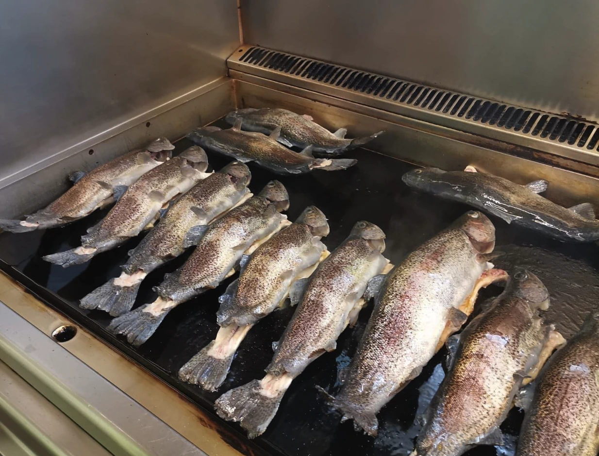 Domače postrvi, pečene na žaru