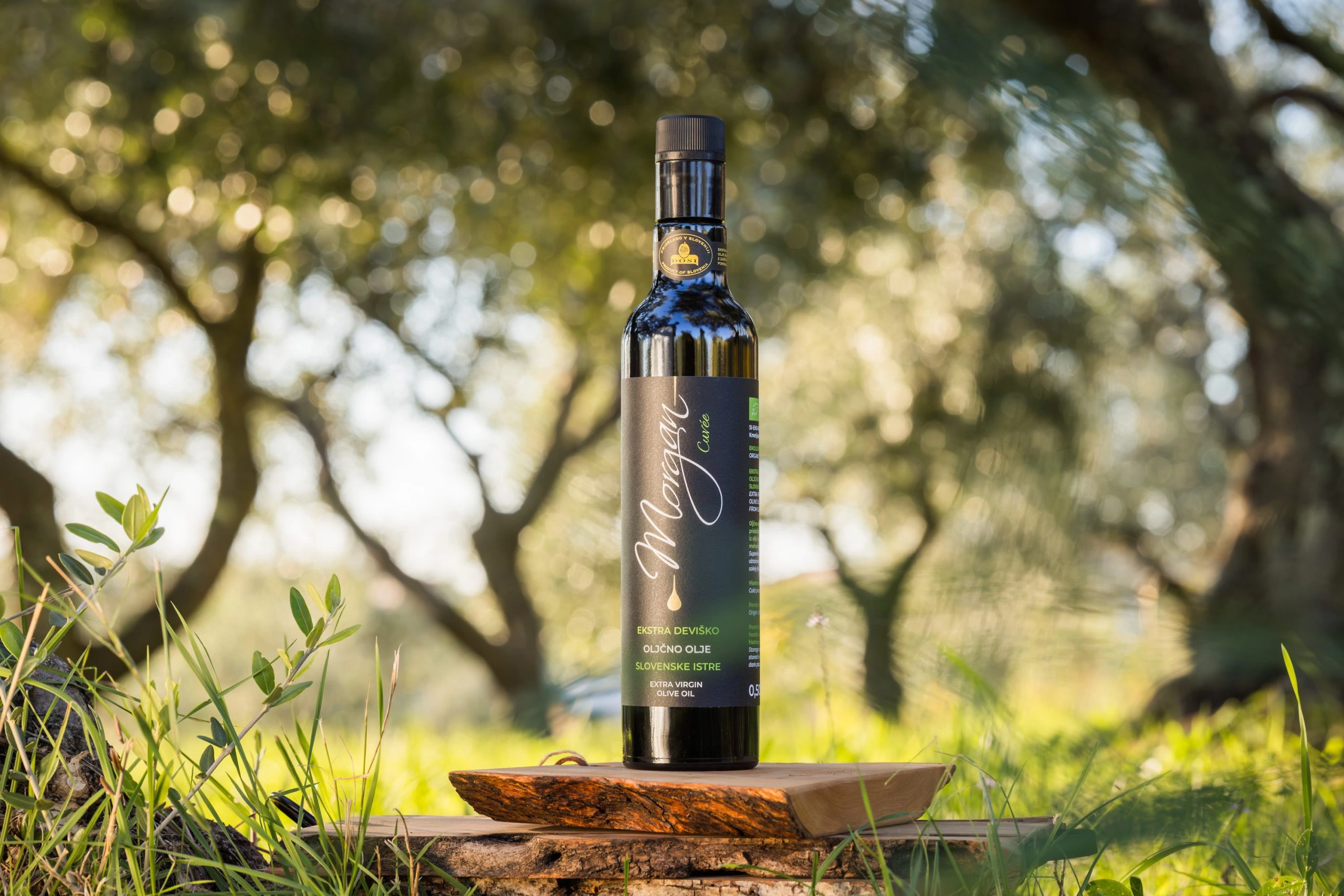 Steklenica oljčnega olja Morgan slikana v naravi