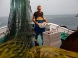 Ribič nalaga ulovljene ribe v zabojčke