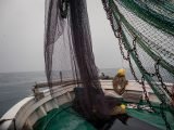 Premec ribiškega čolna