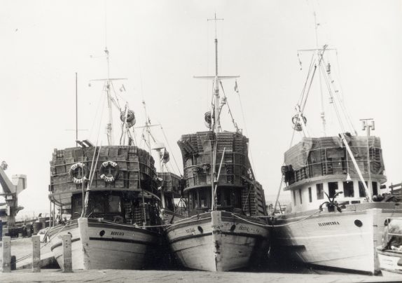 Črnobela slika ribiških ladij