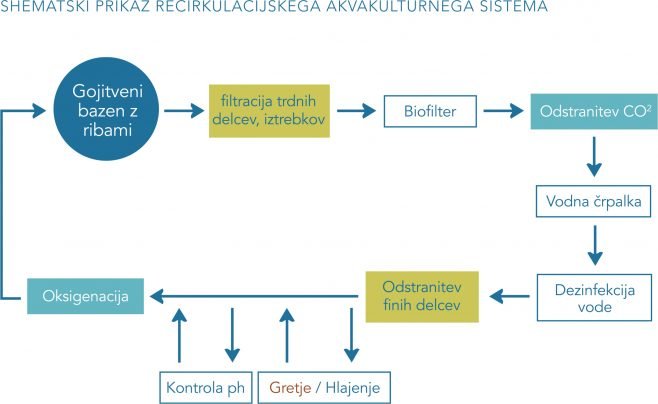 Shematski prikaz recirkulacijskega akvakulturnega sistema