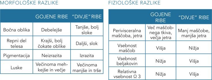 graf morfološke in fiziološke razlike rib