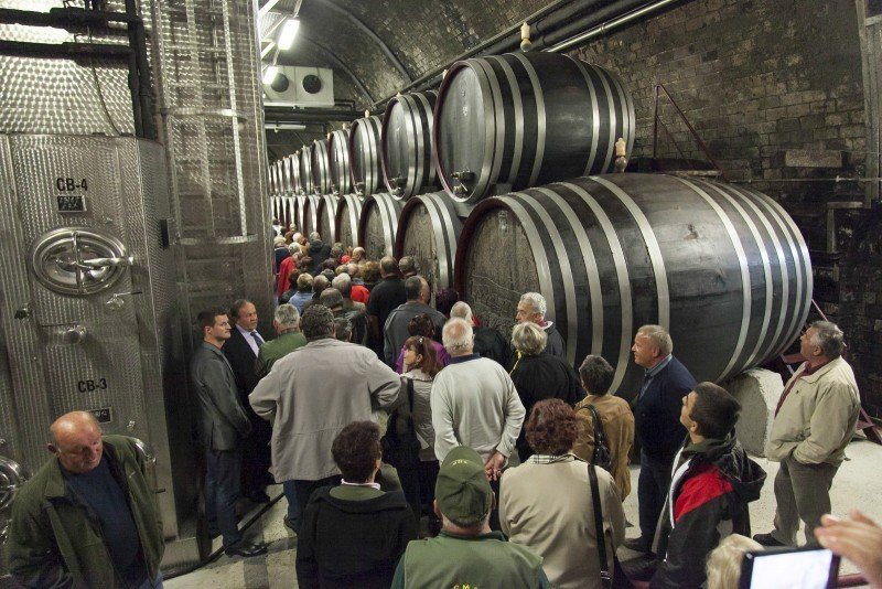 Obiskovalci v vinski kleti Metlika