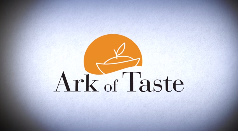 Ark of taste logo