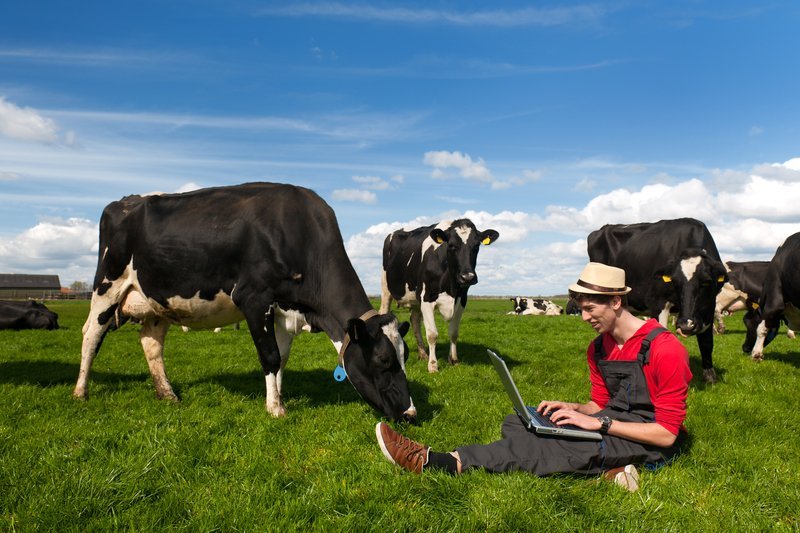 Mlad kmet z računalnikom na paši