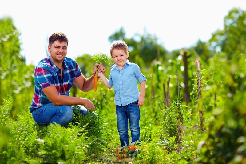 Fantek z očetom na vrtu v orkah držita korenček