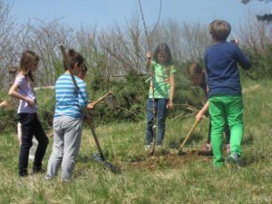 Otroci pomagajo pri sajenju drevja