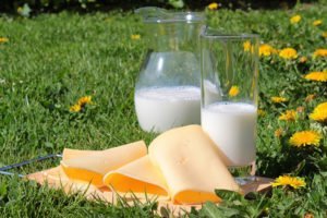 Mleko, sir na travniku