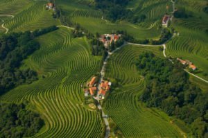 Slovenske vinske gorice slikano iz zraka