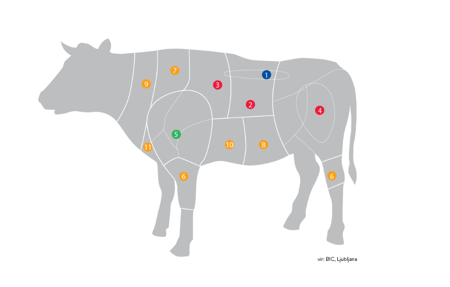 grafika Različni kosi govedine in kako jih uporabiti