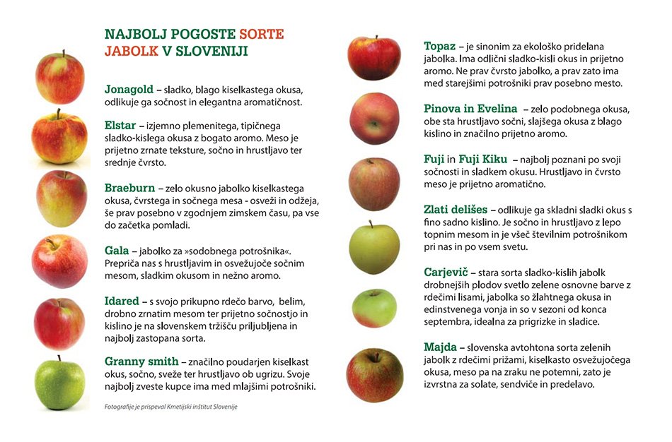 najbolj-pogoste-sorte-jabolk-v-sloveniji