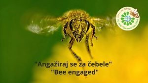 Svetovni dan čebel - Angažiraj se za čebele - Bee engaged