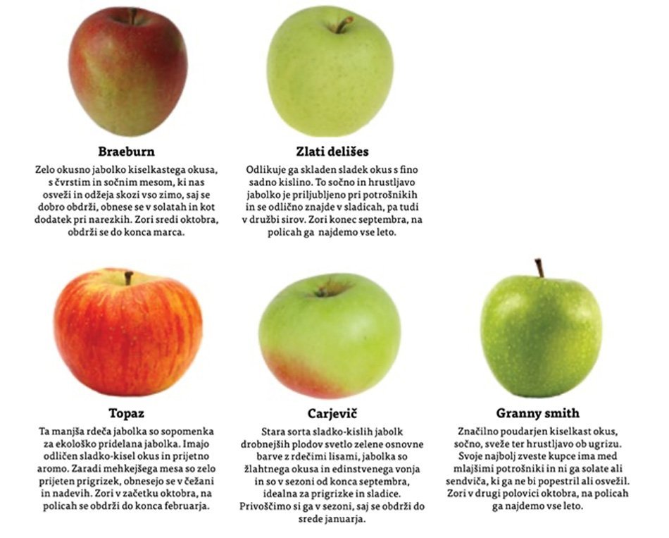 jabolka z opisi karakteristik 2