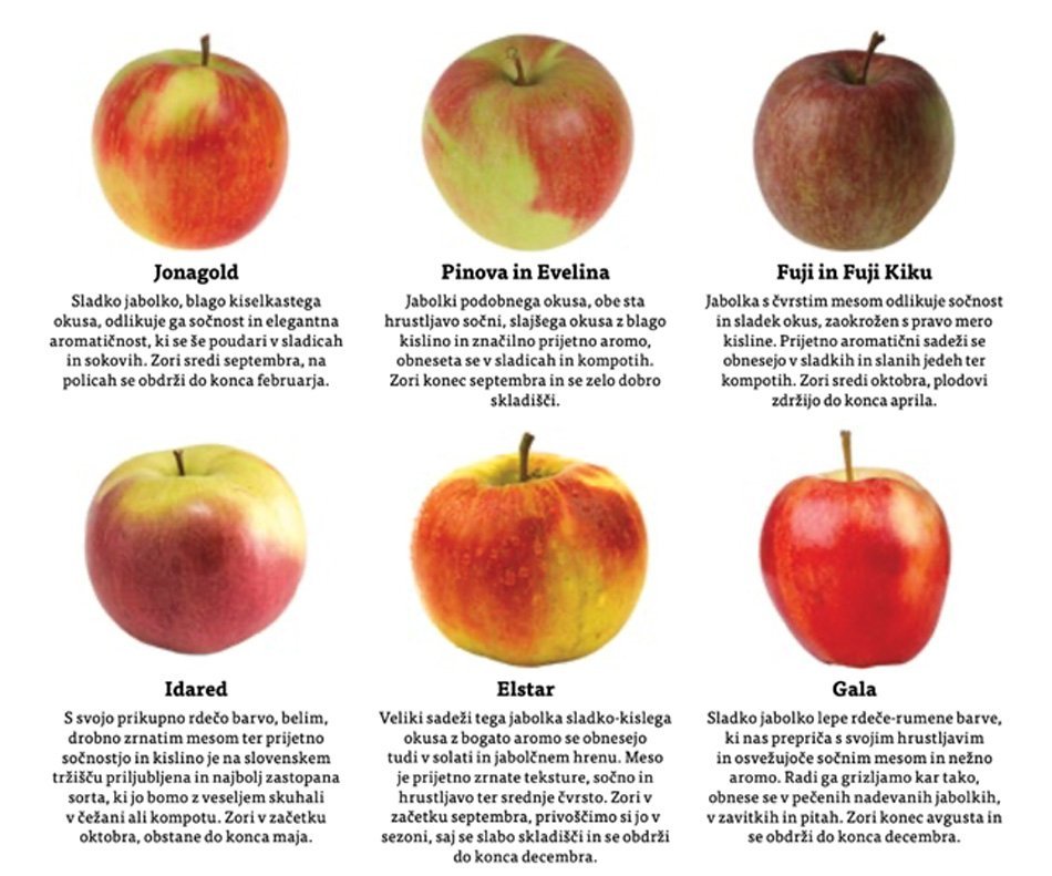 jabolka z opisi karakteristik