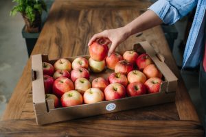 Jabolko – tradicionalna sadna osvežitev iz naših krajev