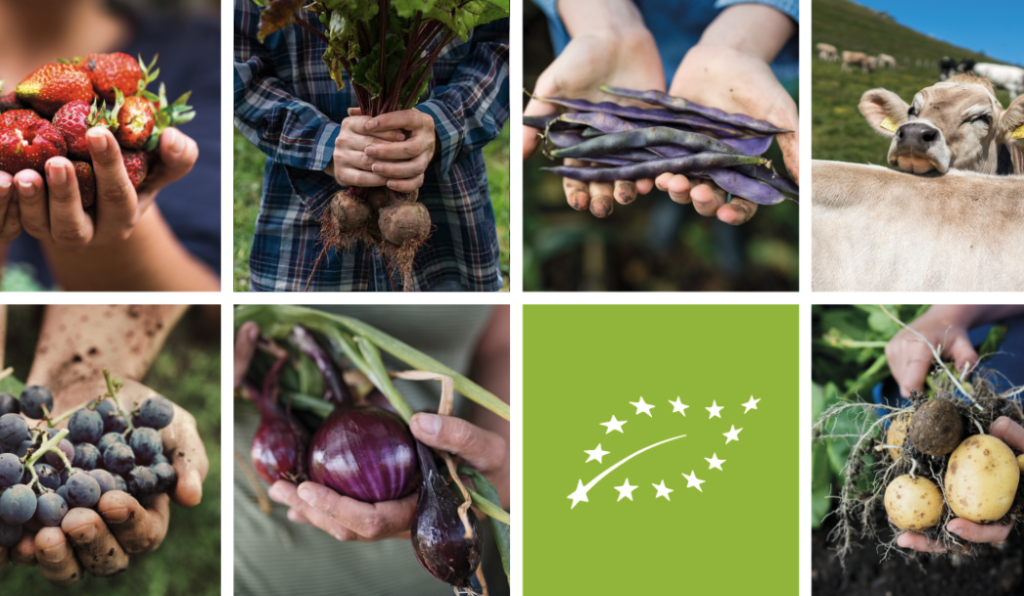 Na sliki je znak za ekološko hrano EU in slike vrtnin
