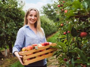 ženska v sadovnjaku z gajbico slovenskih jabolk