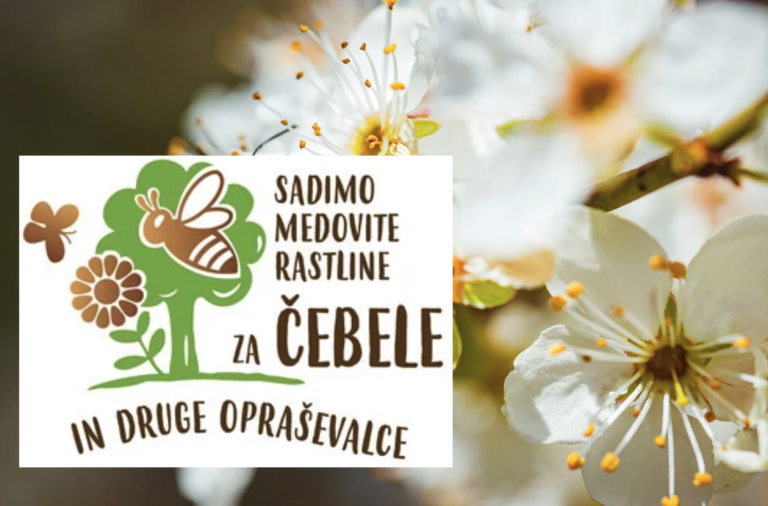 logo za dan sajenja medovitih rastlin in cvetoče drevo