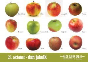Ob dnevu jabolk poudarek na prednostih lokalnega sadja